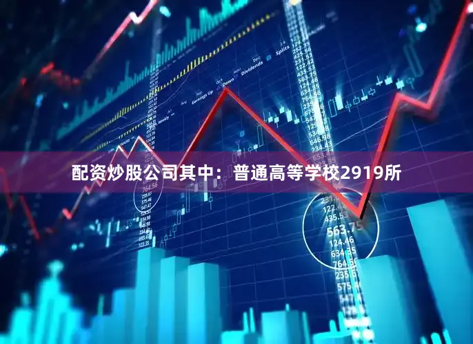 配资炒股公司其中：普通高等学校2919所