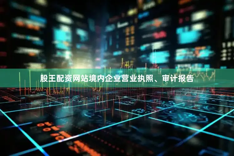 股王配资网站境内企业营业执照、审计报告
