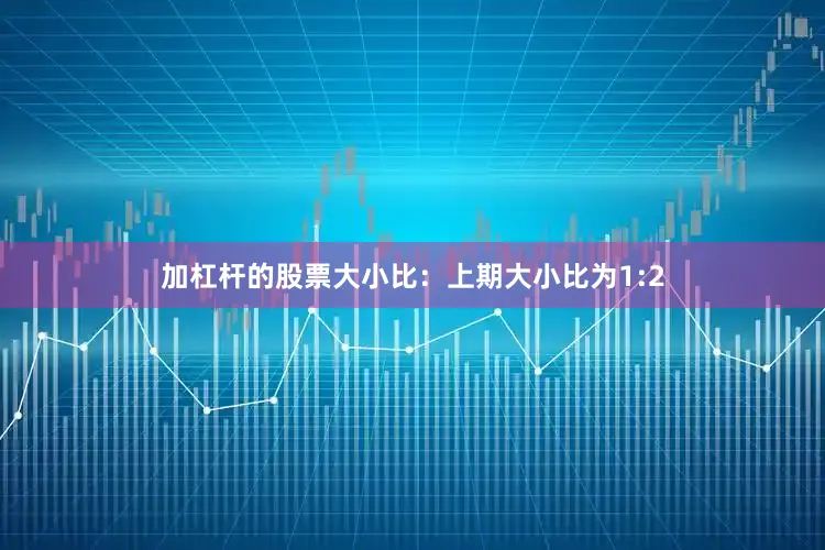 加杠杆的股票　　大小比：上期大小比为1:2